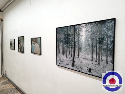 Galerie - Forum K, Plauen - Fotoausstellung - Die Weisse Elster - 12. Februar 2023 (3).jpg